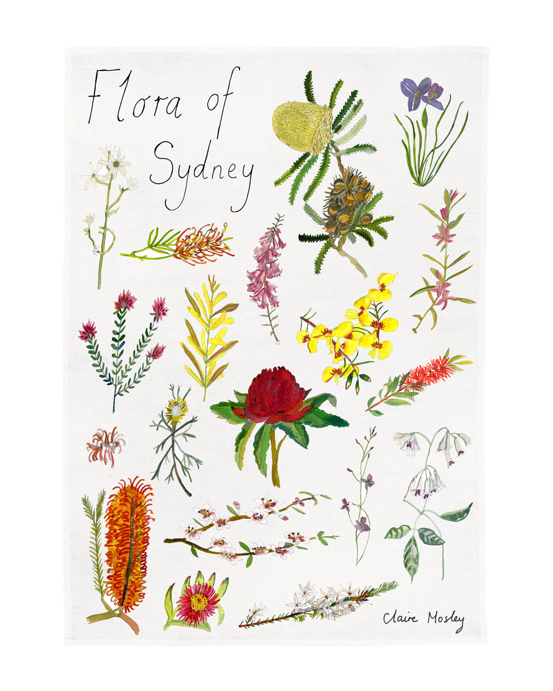 A Tea Towel ~ Flora of Sydney