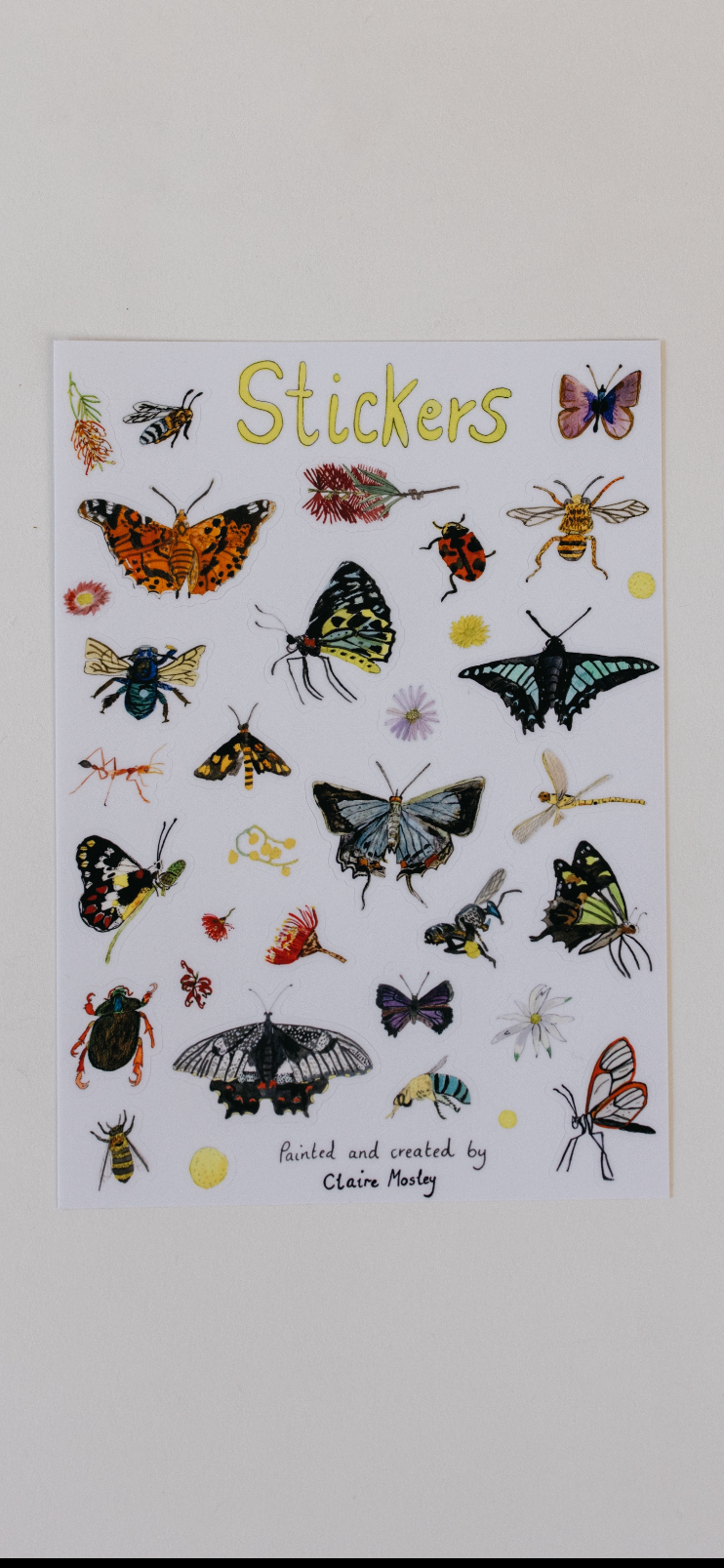 A5 Insect Sticker Sheet