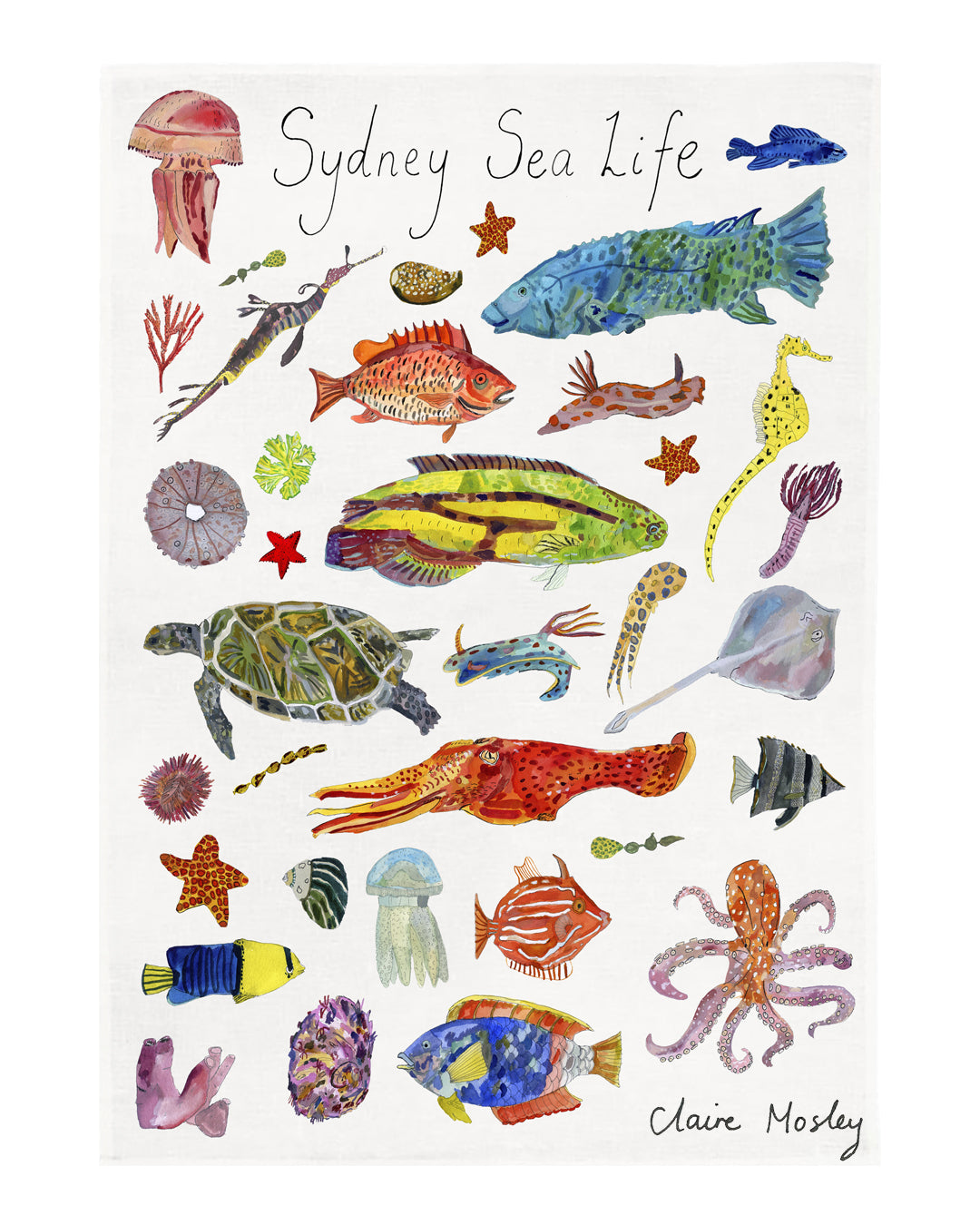 A Tea Towel ~ Sea Life of Sydney