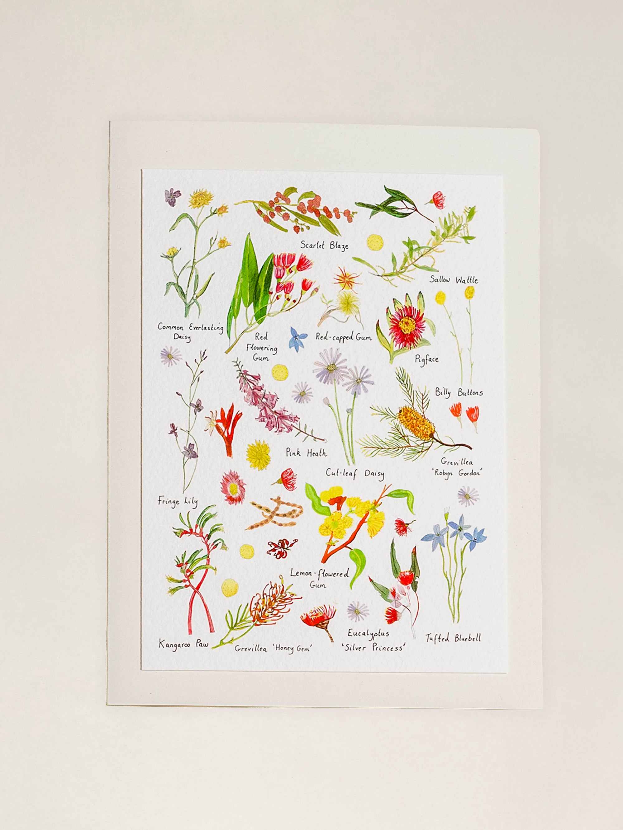A Greeting Card  ~ Flora
