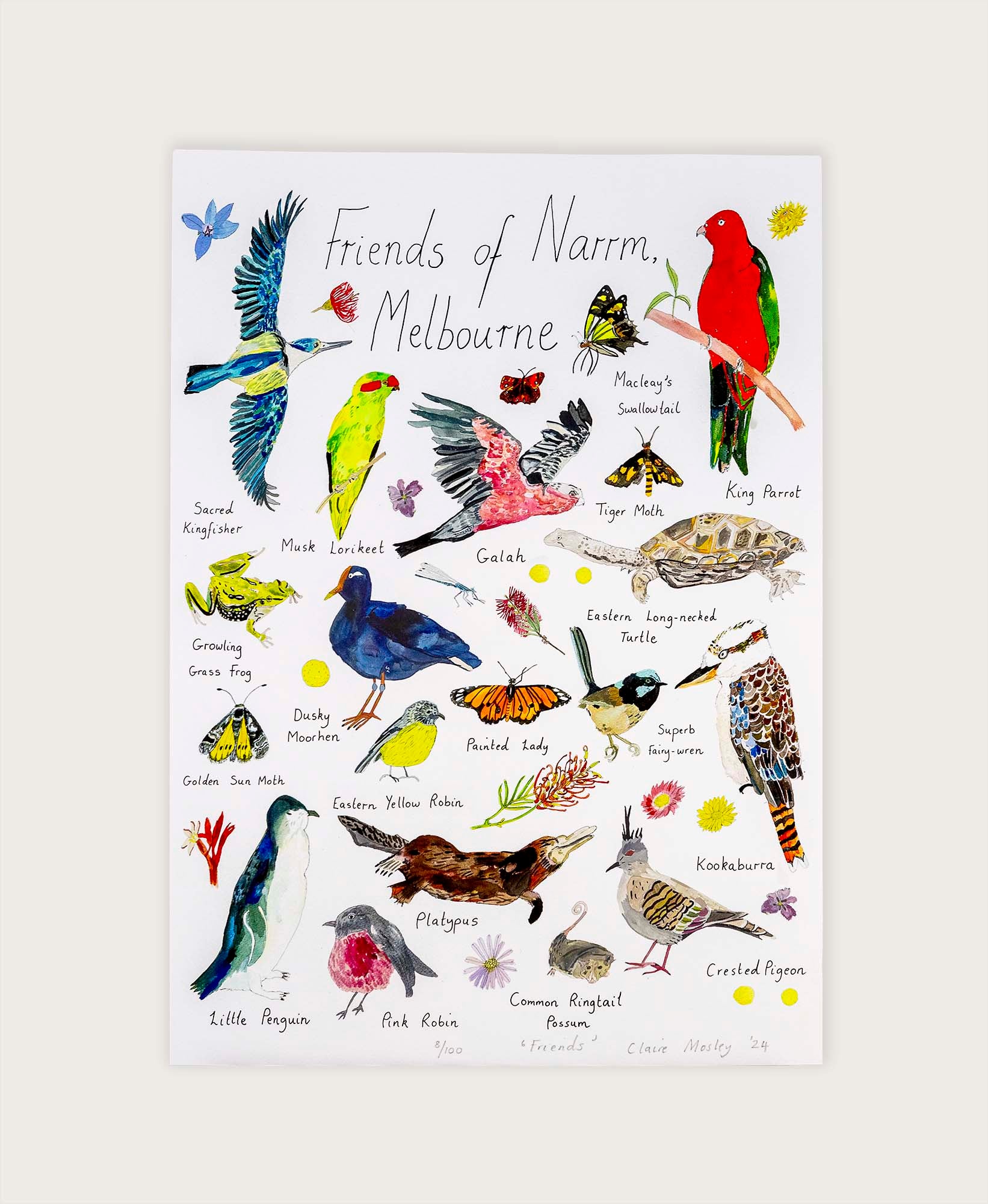 A Print ~ Friends of Narrm