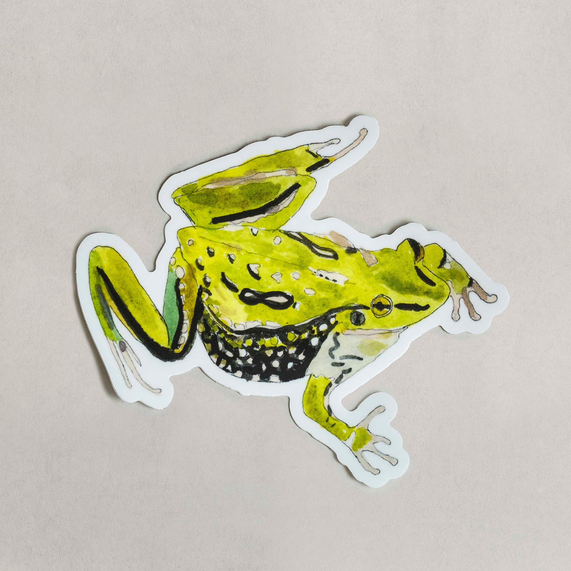 Frog Sticker