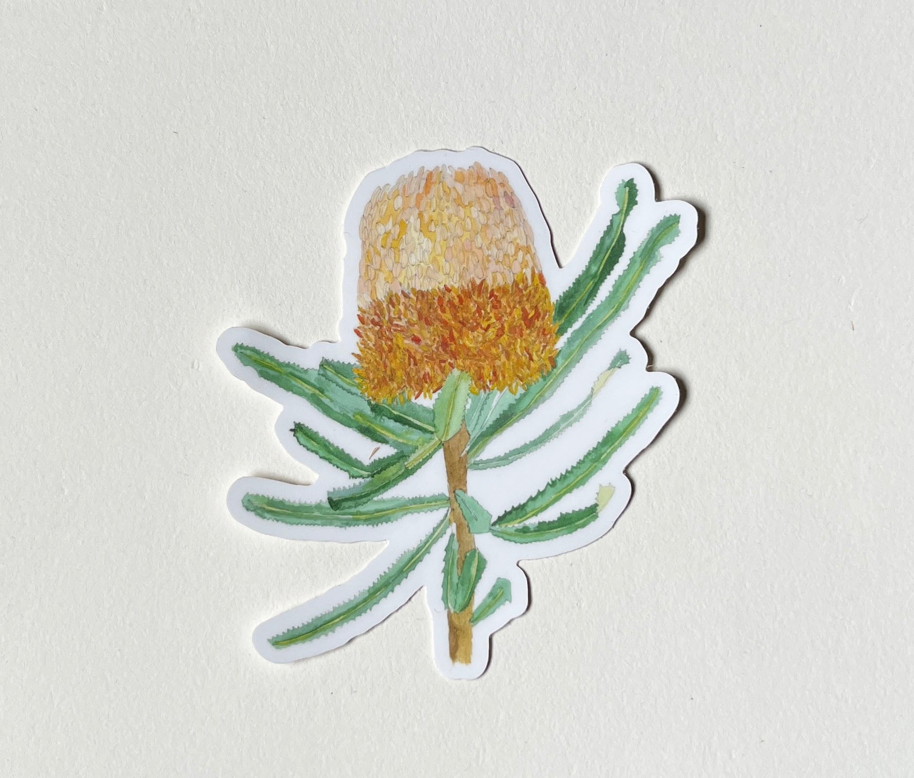 Banksia Sticker