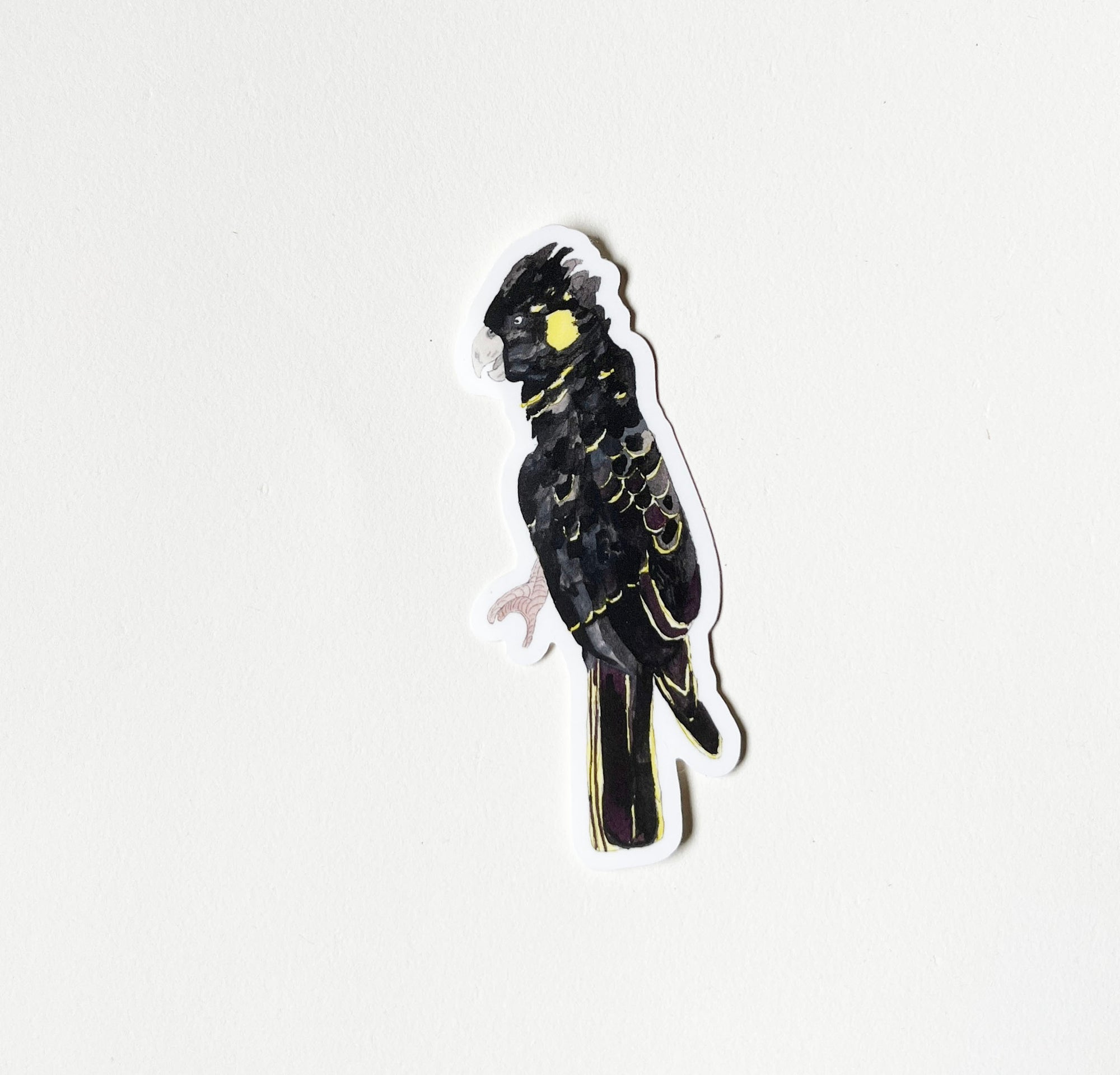 Yellow Tail Black Cockatoo Sticker