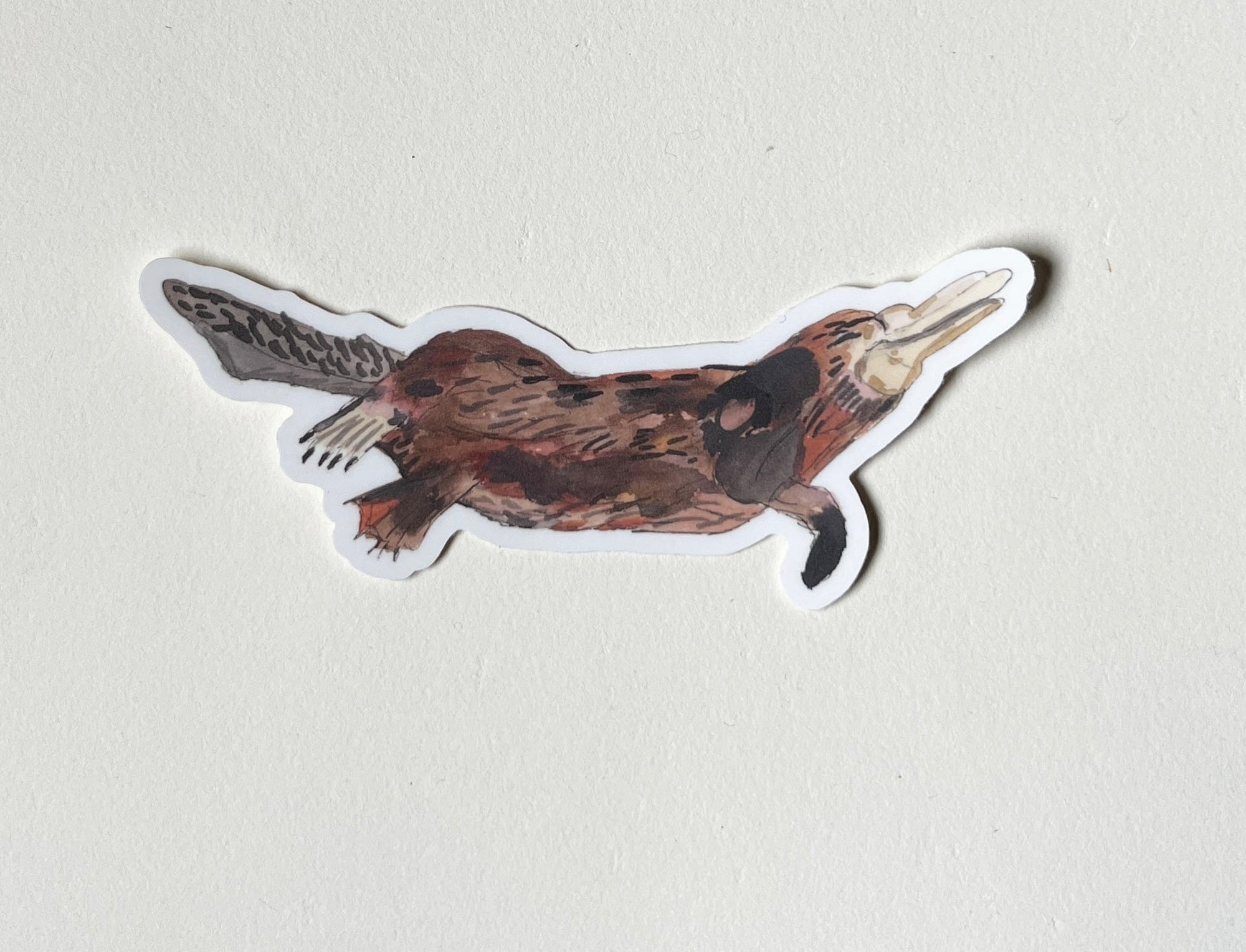 Platypus Sticker