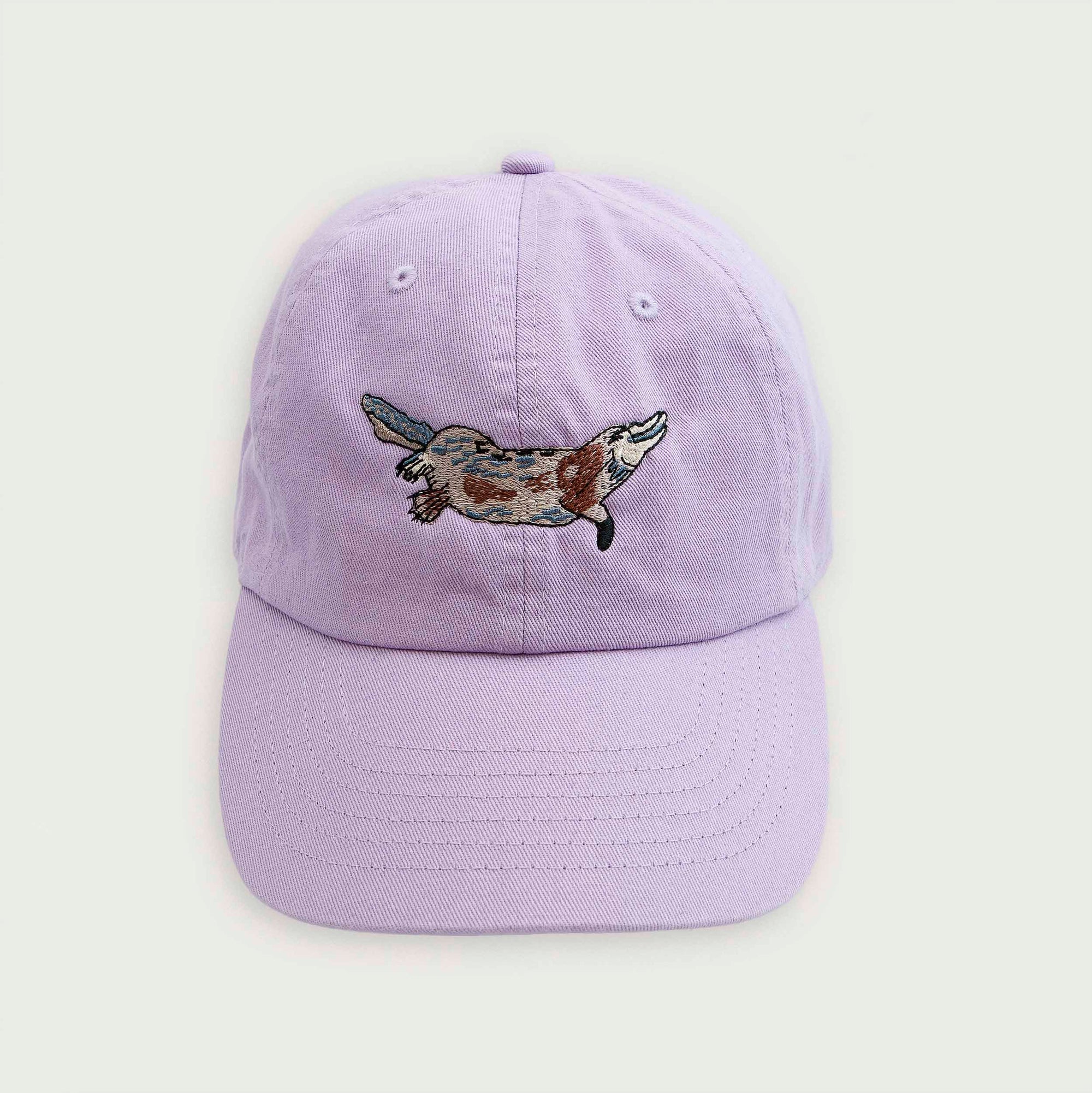 A Cap ~ Platypus