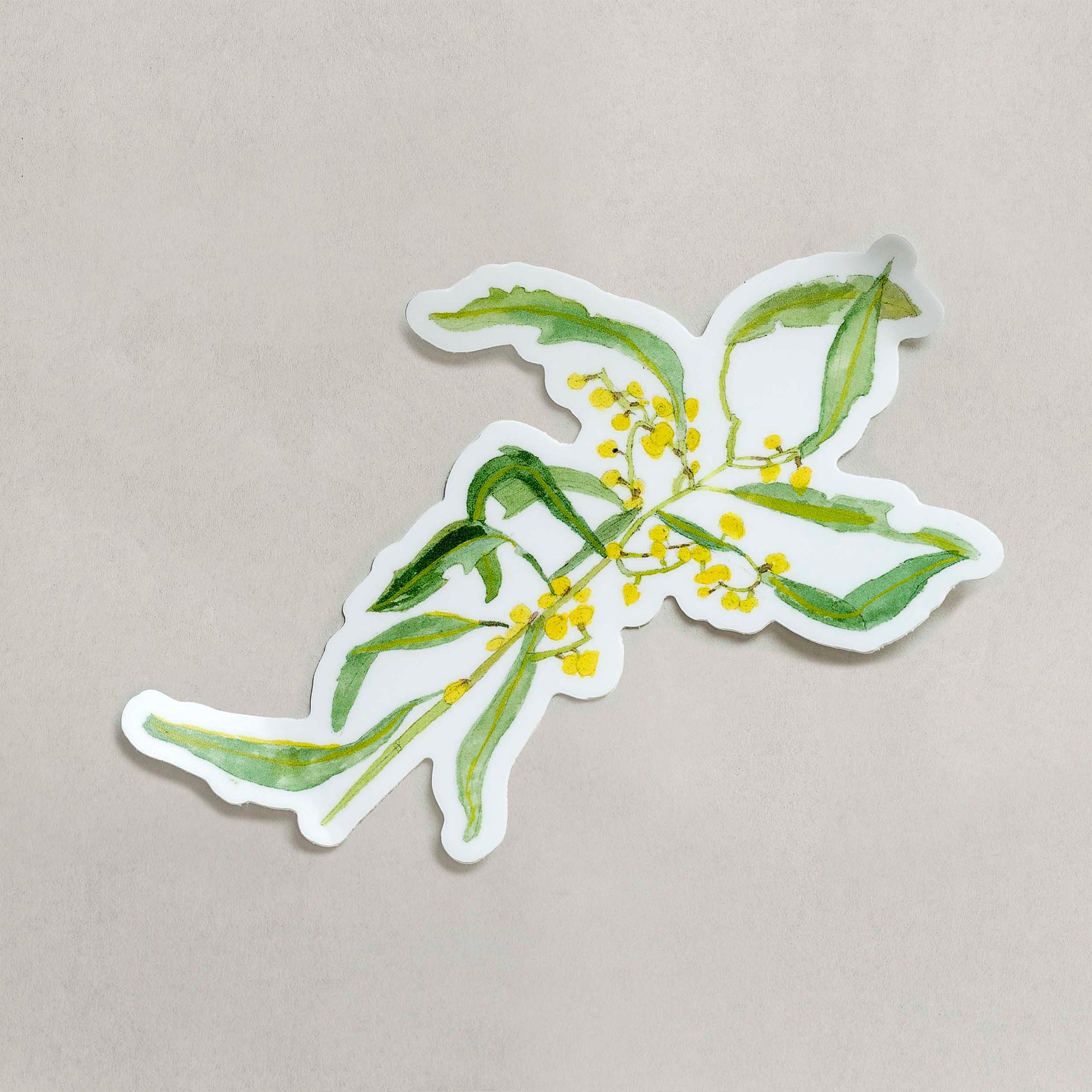 Wattle Sticker