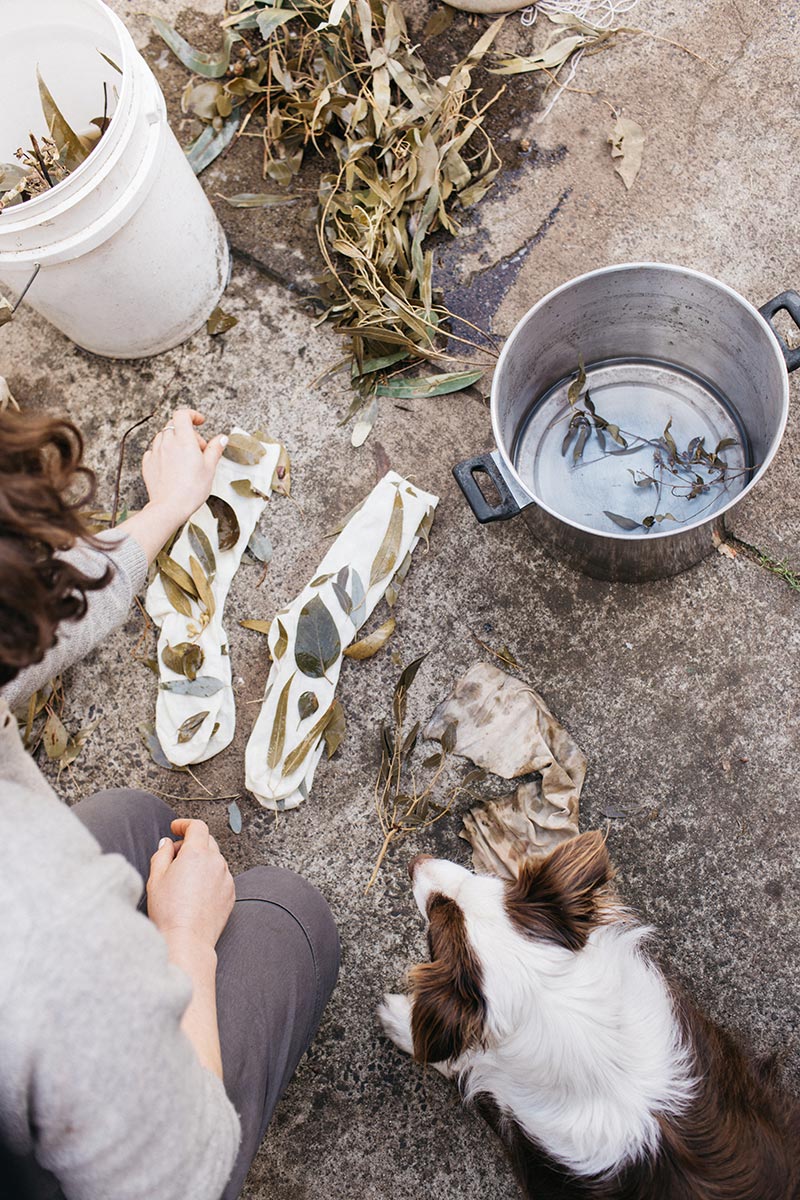 An overhead photo of a person laying leaves onto a pair of socks (eco-dying process), with a dog looking on