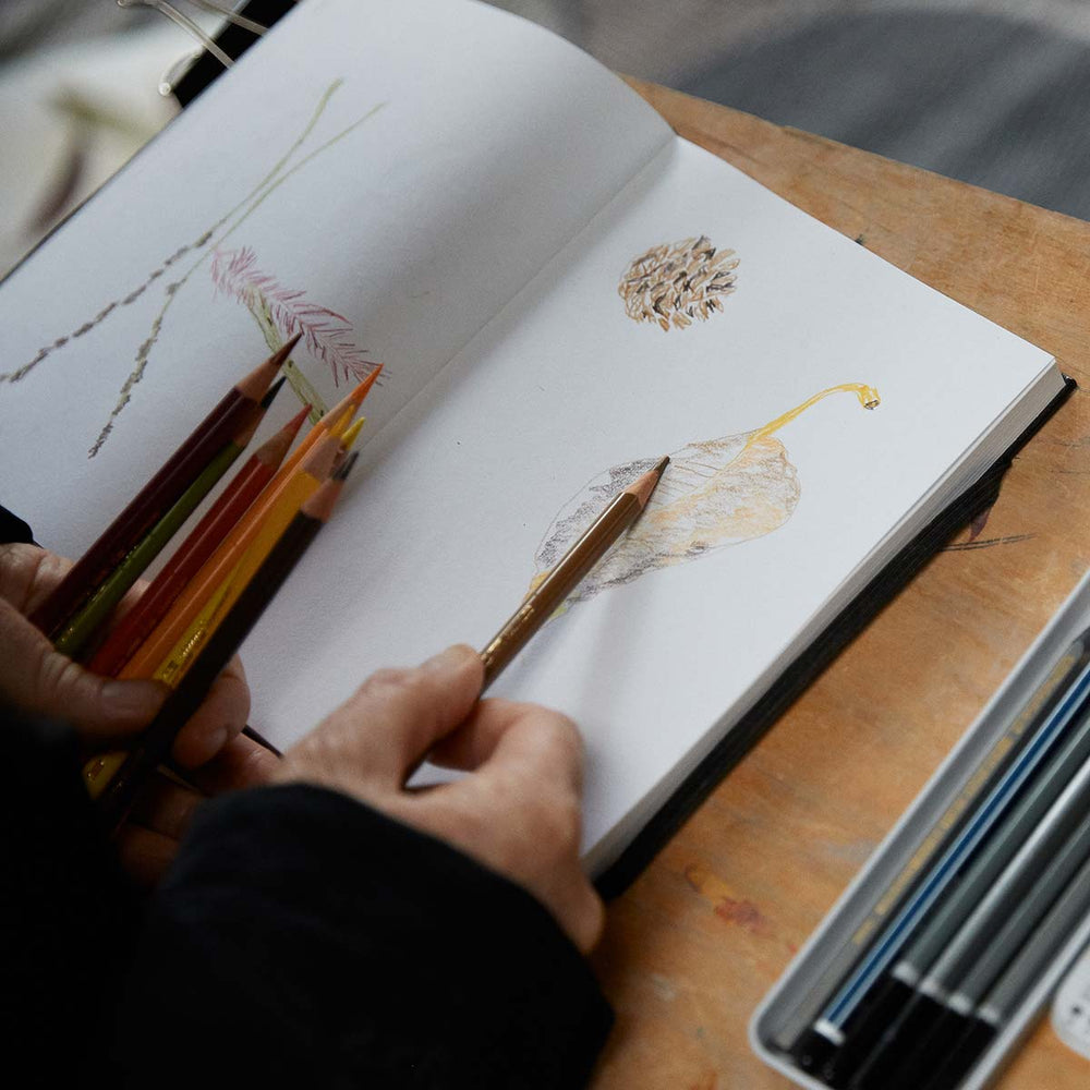 A close-up of a person sketching nature illustrations in a notebook