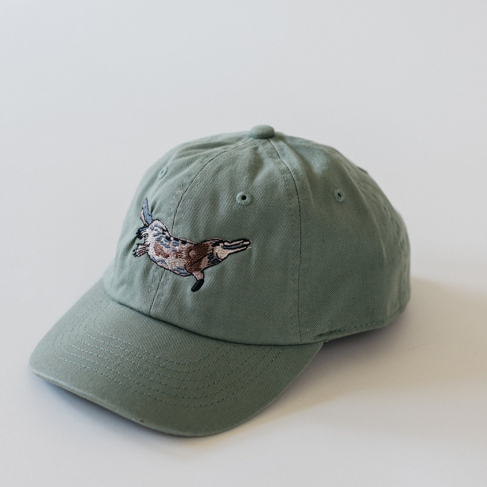 A Cap ~ Platypus