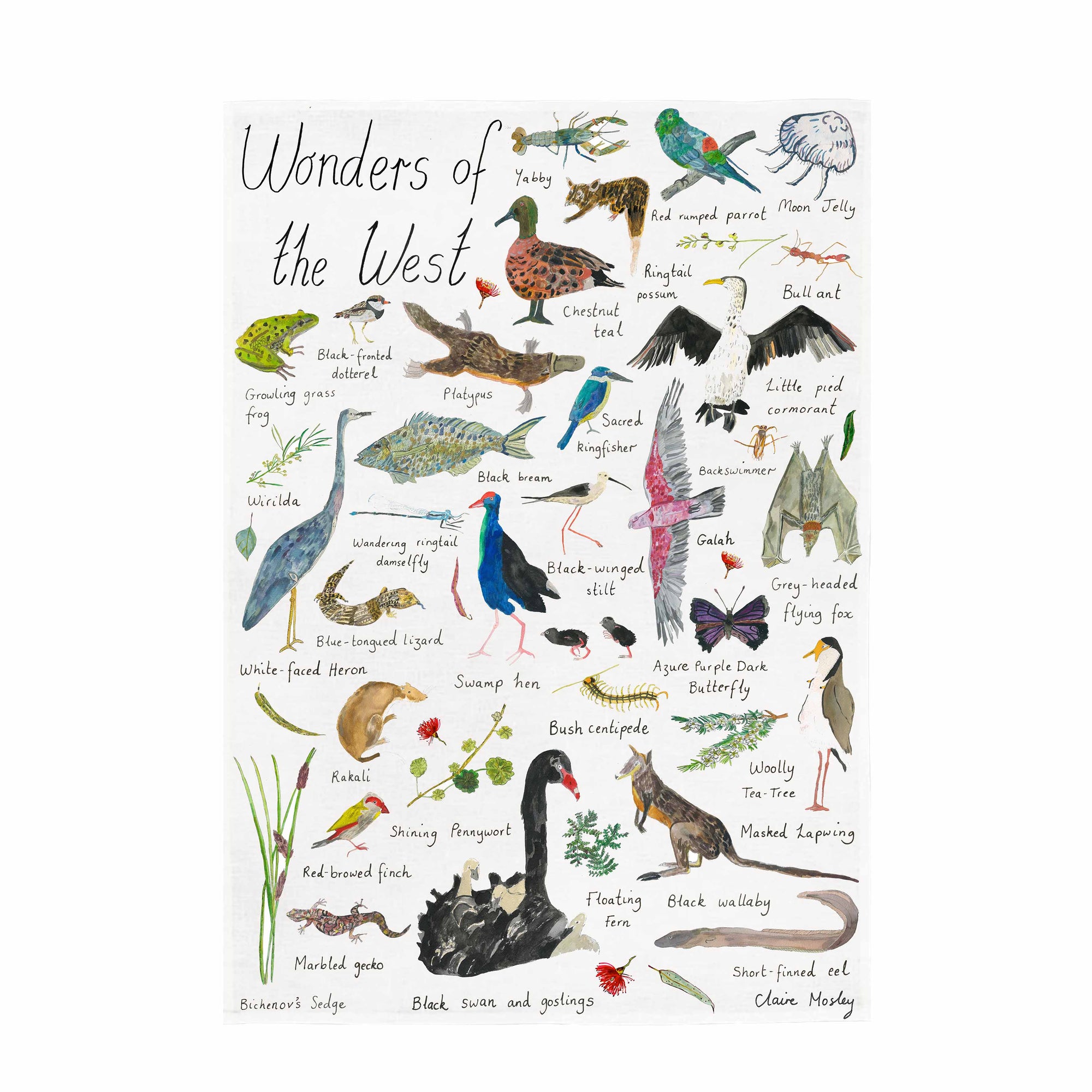 A Tea Towel ~ Wonders of the West