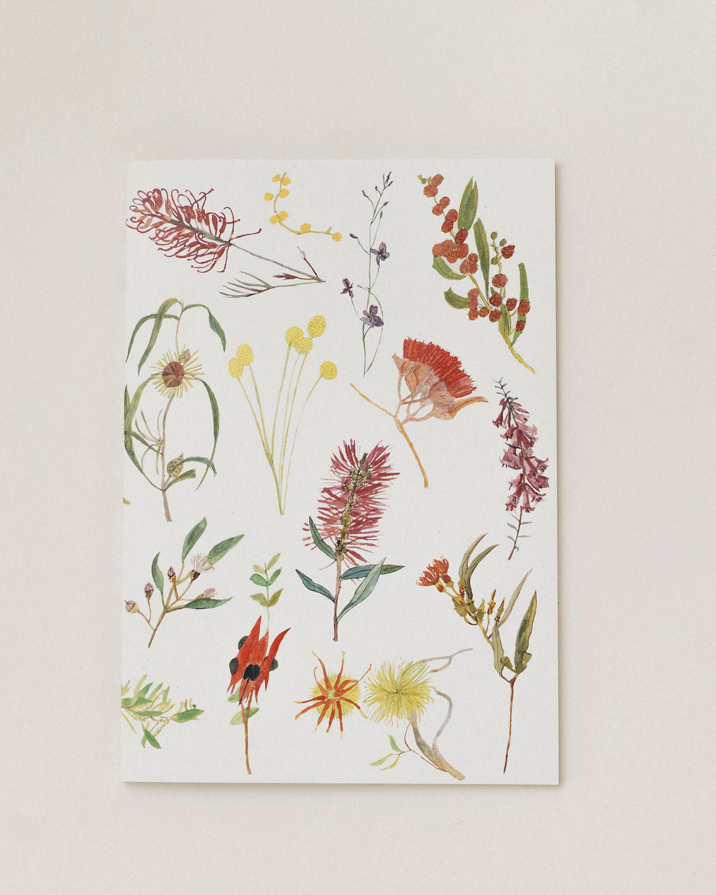 A Note Book ~ Flora