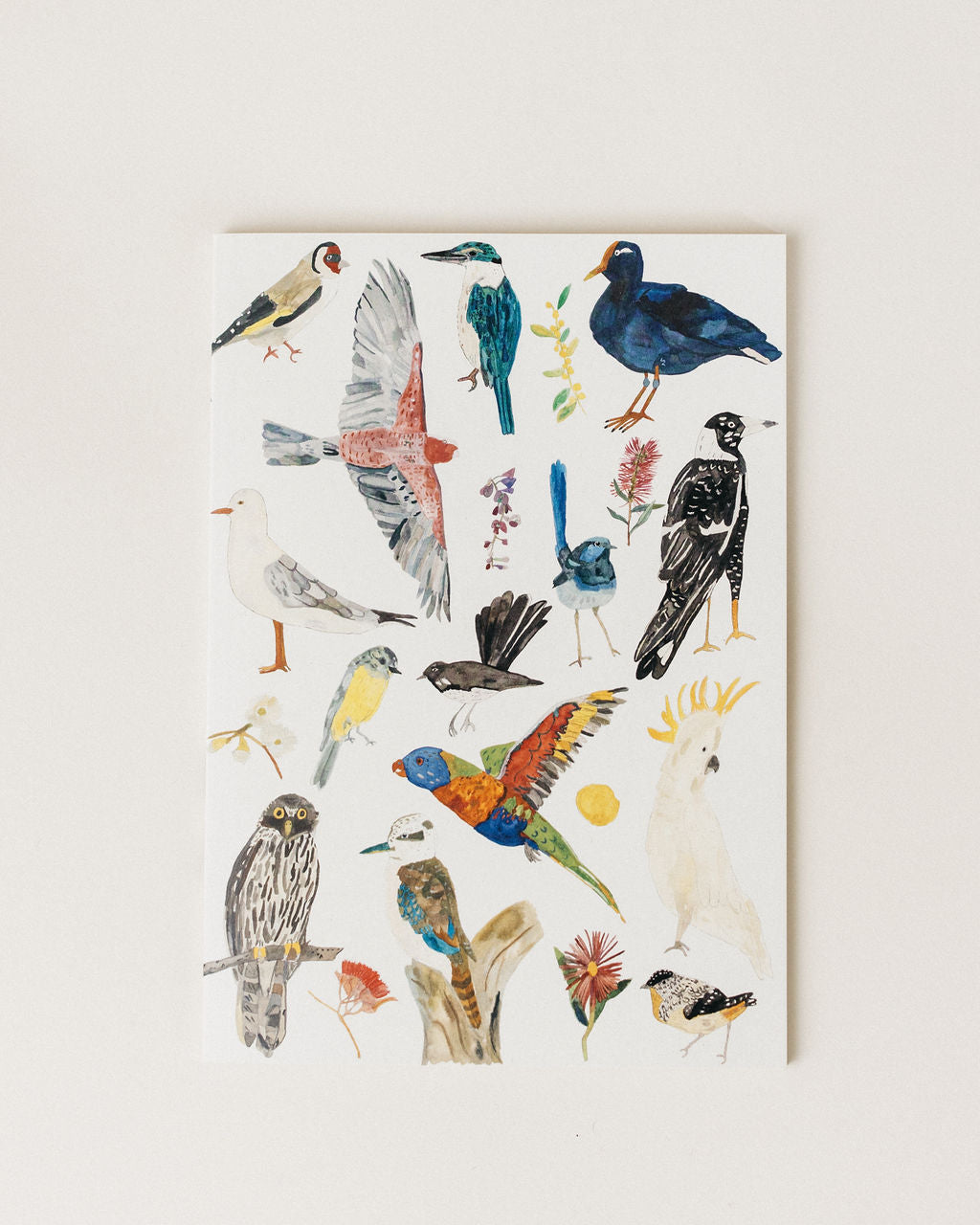 A Notebook ~ Birds