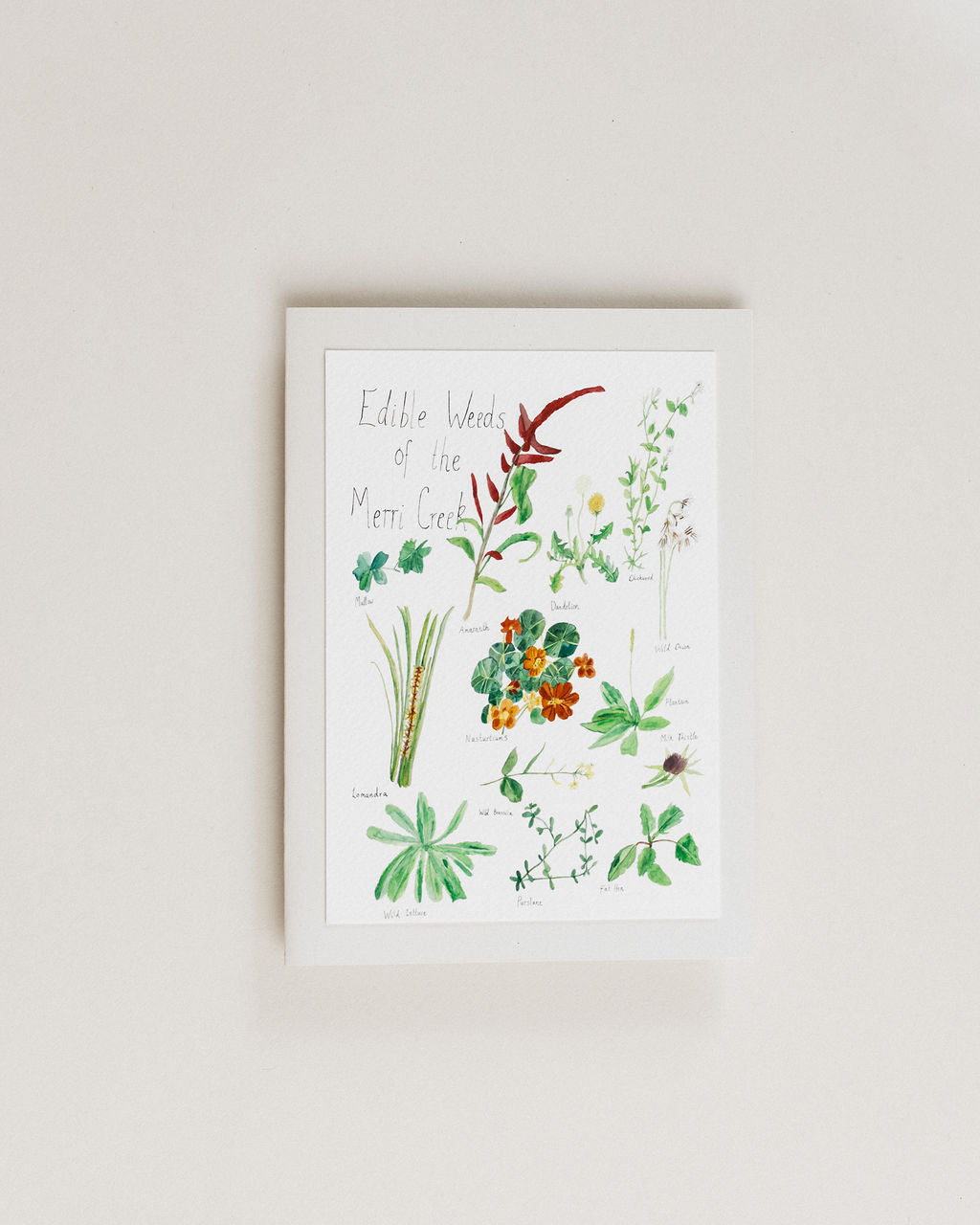 A Greeting Card ~ Edible Weeds of the Merri Creek