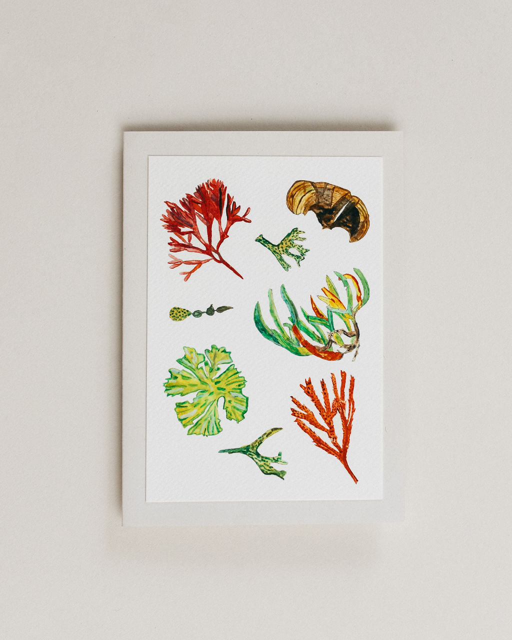 A Greeting Card ~ Seaweed