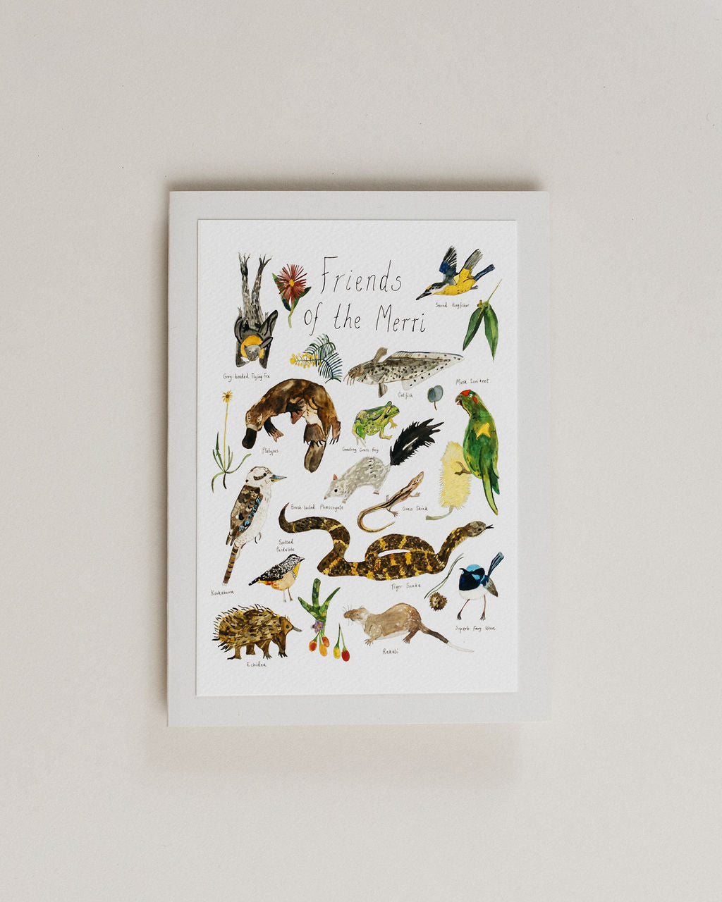 A Greeting Card ~ Friends Of The Merri