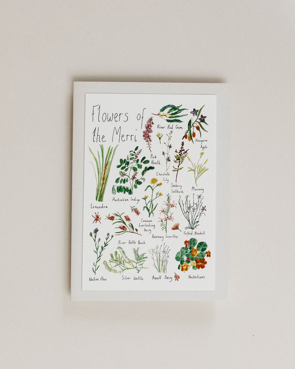 A Greeting Card ~ Flowers of the Merri