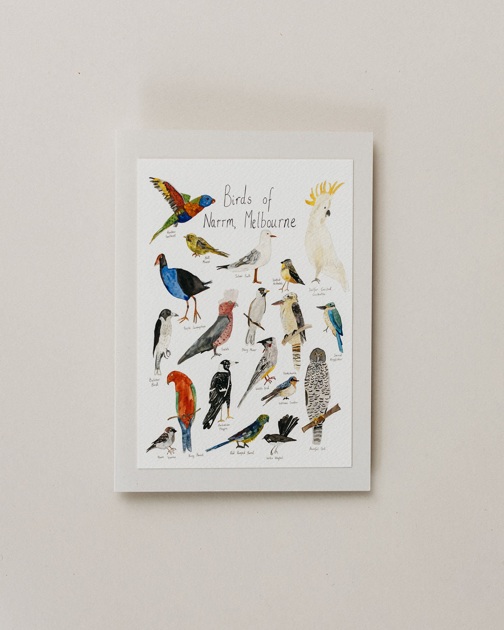 A Greeting Card ~ Birds Of Narrm (Melbourne)