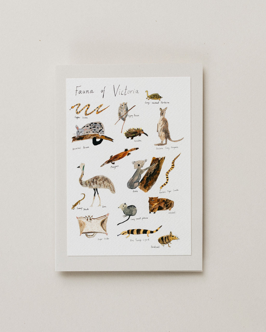 A Greeting Card  ~ Fauna Of Victoria