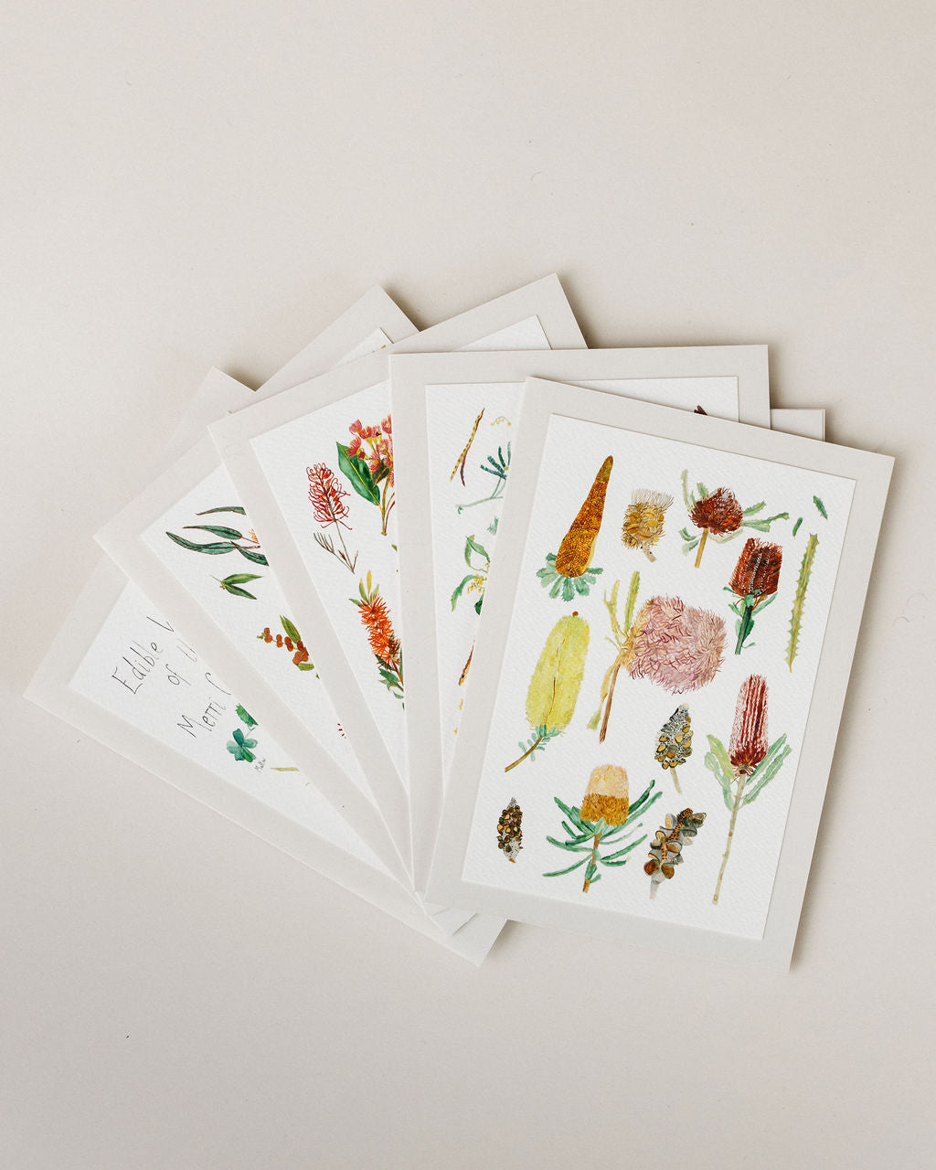 Greeting Cards ~ Pack of 5