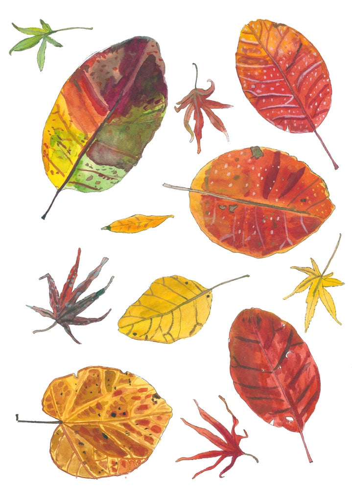 A Print ~ Autumn Leaves