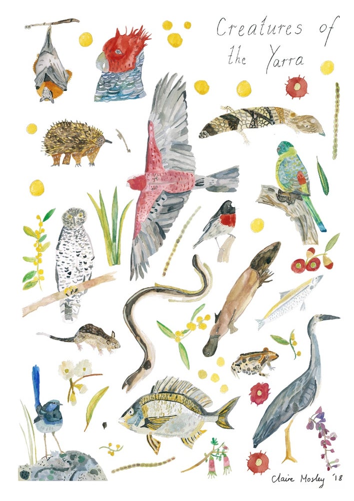 A Print ~ Creatures of the Yarra
