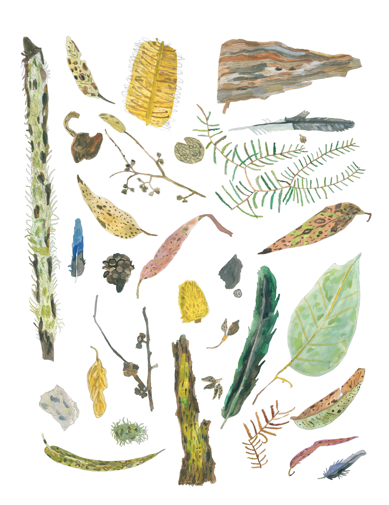 A Print ~ Wild By Nature Camp, Autumn