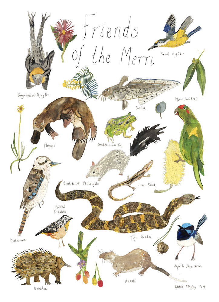 A Print ~ Friends Of The Merri