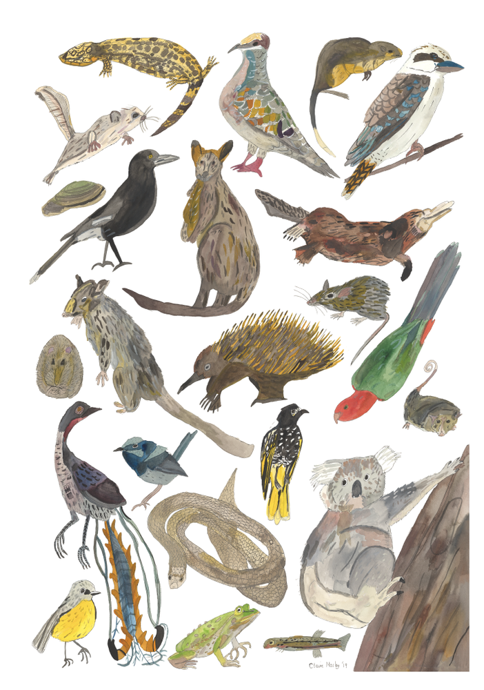 A Print ~ Animals of East Vic