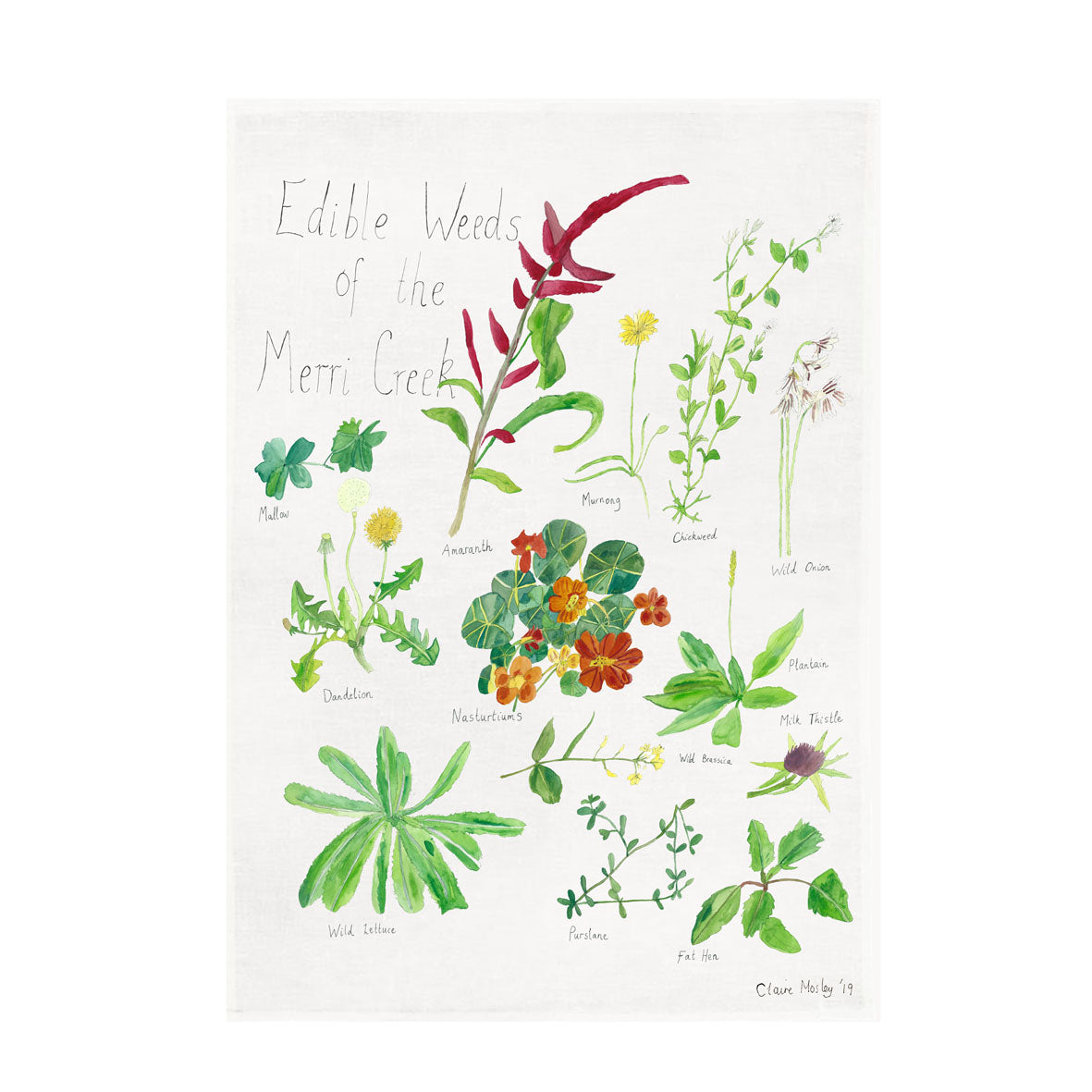 A Tea Towel ~ Weeds of the Merri