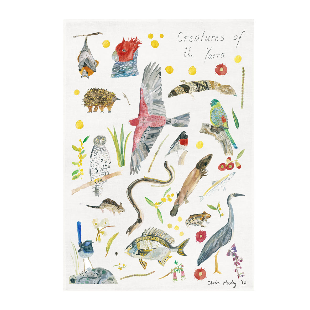 A Tea Towel ~ Yarra Creatures