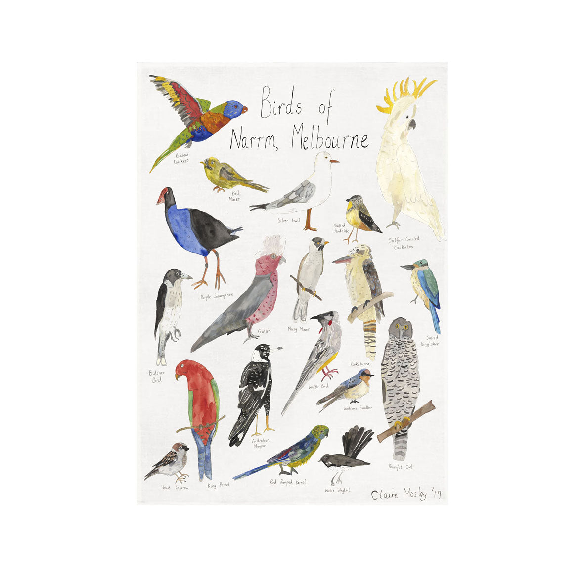 A Tea Towel ~ Birds Of Narrm, (Melbourne)