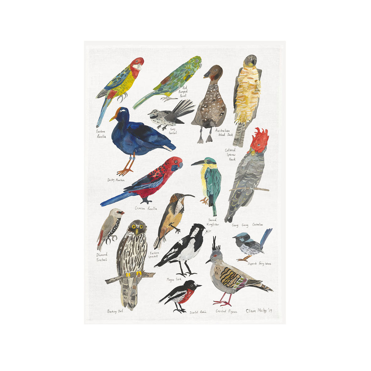 A Tea Towel ~ Birds of Narrm #2