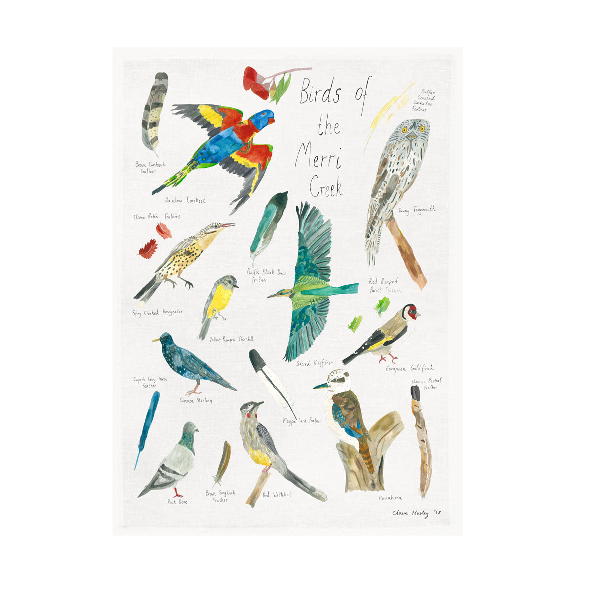 A Tea Towel ~ Birds of the Merri Creek