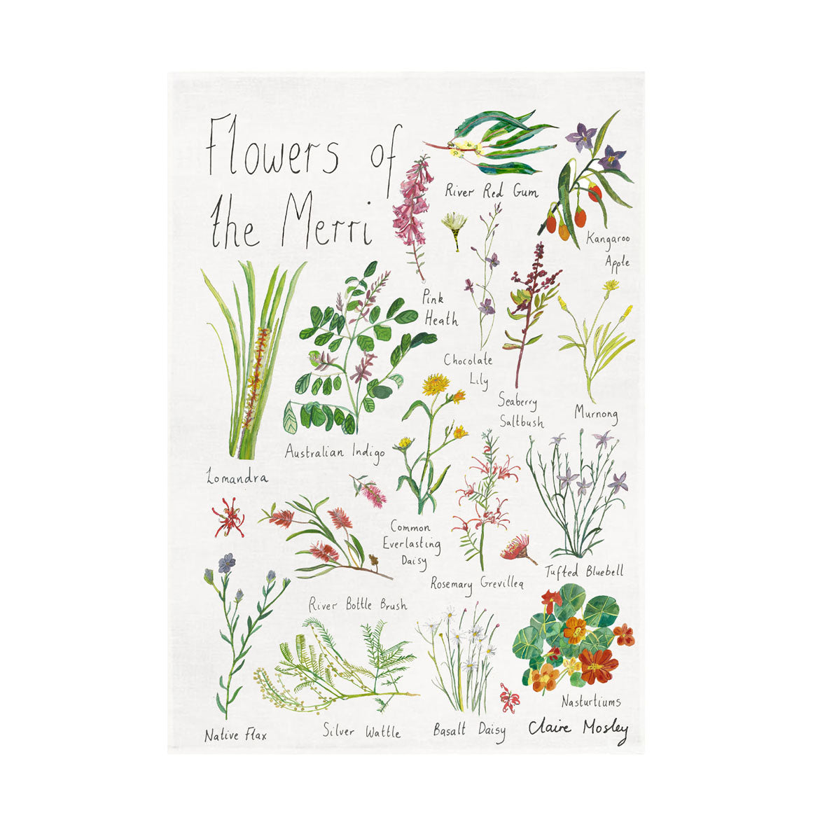 A Tea Towel ~ Flowers Of The Merri