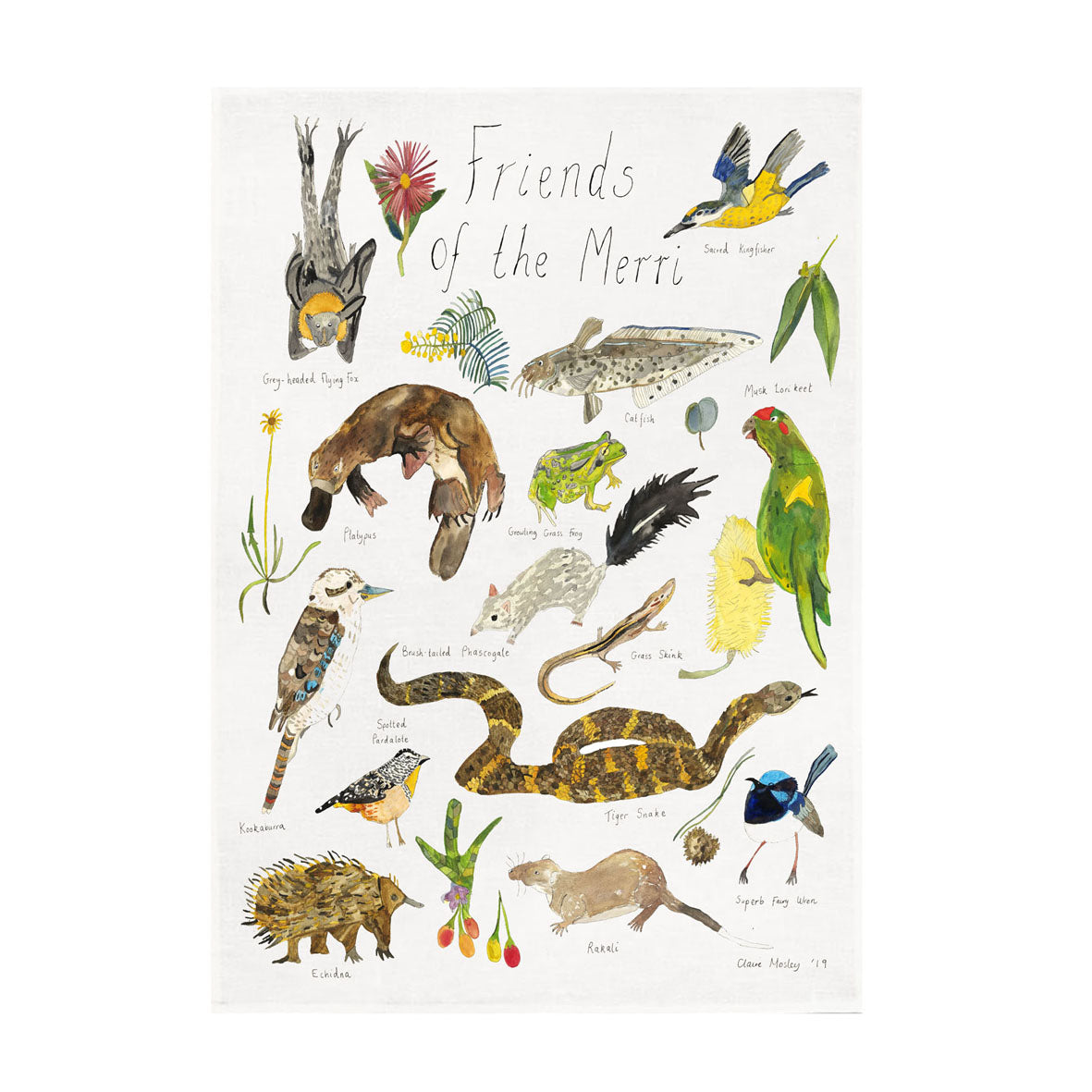 A Tea Towel ~ Friends of the Merri Creek