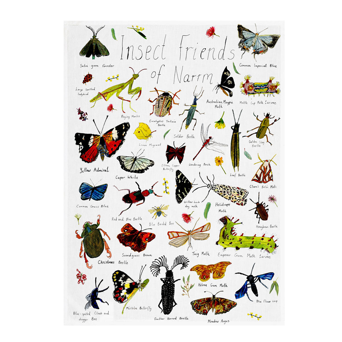 A Tea Towel ~ Insect Friends of Narrm